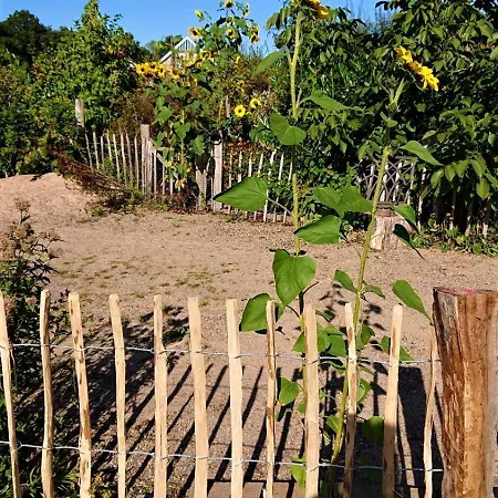 בית נופש Im Seedorf Im Muensterland *