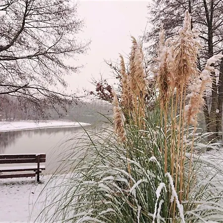 בית נופש Im Seedorf Im Muensterland וורנדורף
