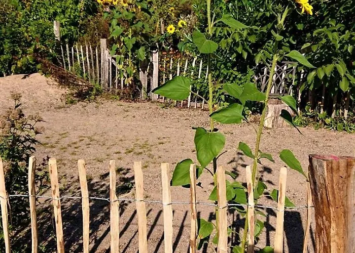Feriehus Im Seedorf Im Muensterland *