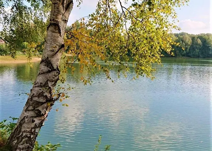 Feriehus Im Seedorf Im Muensterland *